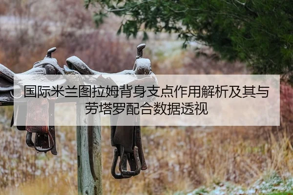 国际米兰图拉姆背身支点作用解析及其与劳塔罗配合数据透视